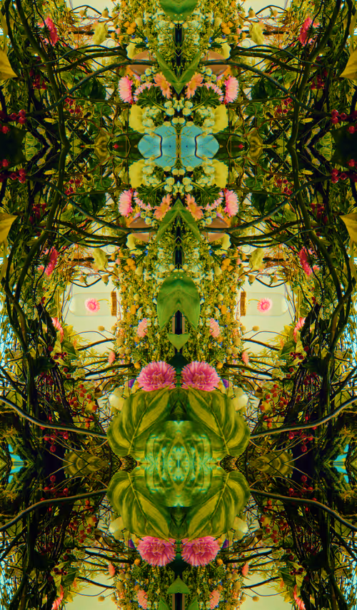 Item #54411499690937640101772425138653578544162397958311670010148906863179633524737 Media