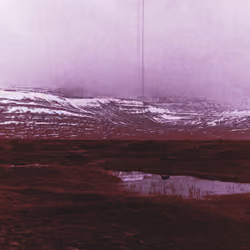 Refur, Aðalvík