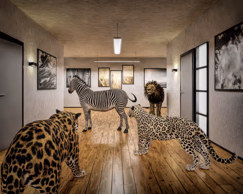 Item #25268332393812692660975676637662703943045066899124411616705996264856226889729 Media