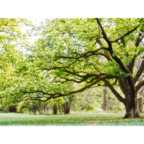 Item #20509465438609277551874808861244890758591647001332639405873676868218473414756 Media