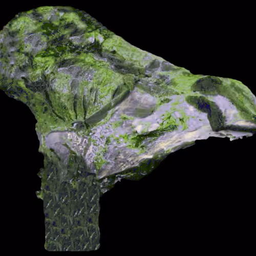 18063966590187803564983313972252836895288362682890717819958697158195464372225