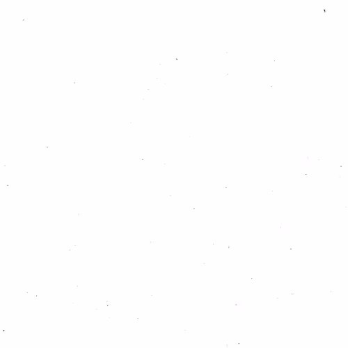 Untitled Collection #2663319