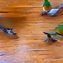 Birds of a feather flock together