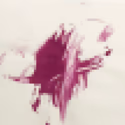 73551960348256253623712282870608809798570214309142974242371643446271164809217