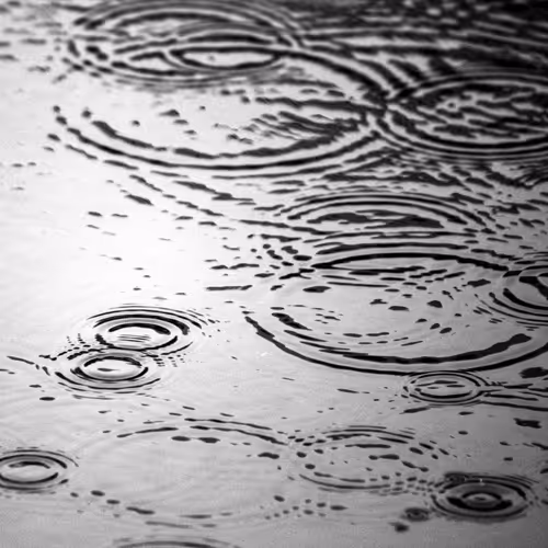 Item #110563264937173630415102547684714144673786021135482478862181301898808278384641 Media