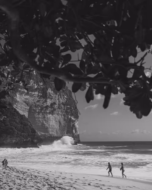 Item #95633765474931350240165697288740384276668175365753332134829565104729746309121 Media