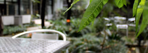 Untitled Collection #206110409