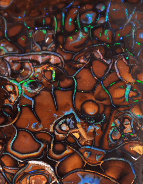 Item #21177589988234382907292029725280025606269119538694693414219510841002885644289 Media