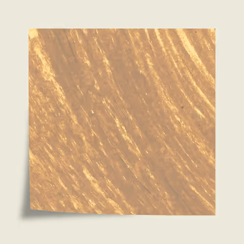 Item #41513183033228335254431674312431026392056503749948606592318857236103567507457 Media