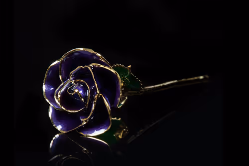 Item #22969295015453494261367825121290153757090535459802507599951433502447359754241 Media