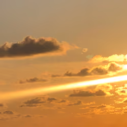 Dragon and Phoenix Sunset, Gold Horizon <wide angel>