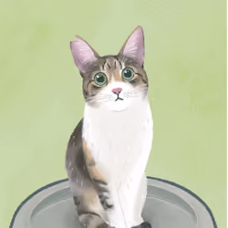 Cutest cat