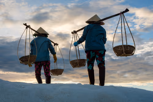 Item #44380994338133063636427405274069008736849147253072084515634940318404071915521 Media