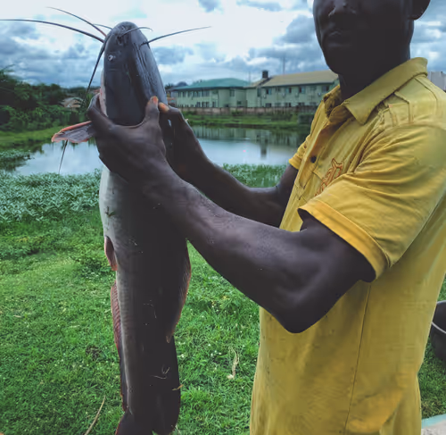 Item #86109783756313584205852517343469947488147622379281892580711212488994347548673 Media