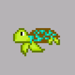 Turtle #17