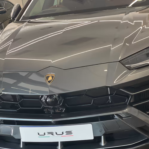 Untitled Collection #105298912