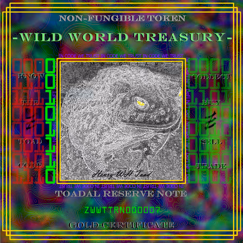 Wild World Treasury