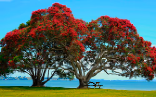 Item #105603725609947989499044129472074064723412167009068320432332286917430894133249 Media