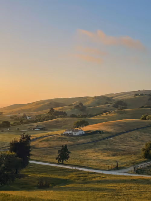 Item #63467631661434006709021786395100229602053811916335867789990937467531124801537 Media