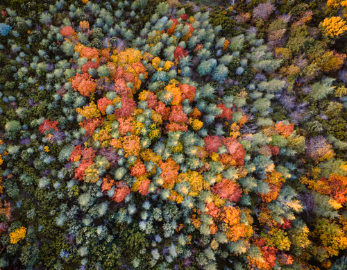 Item #95229034153510470396511515867568444678676379780033711068818665182299506606081 Media