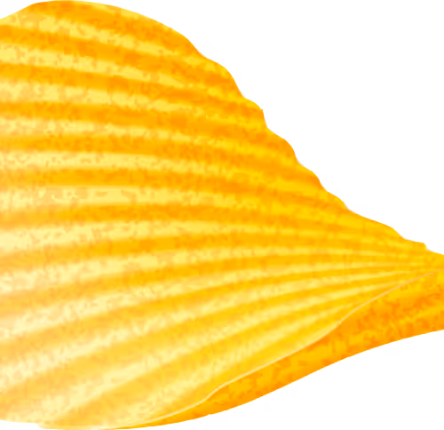 Just Chips
