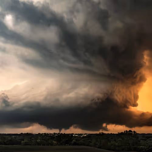 Storm of Determination