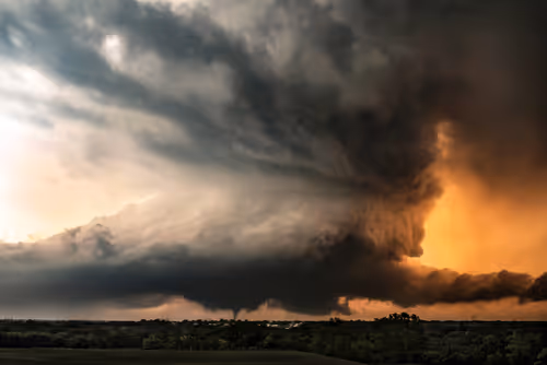 Item #46154160826271547341634704556143841503597126410650149385483954189850690715649 Media