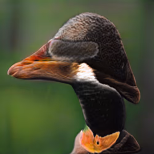 Item #110064969829225063713500301847050605951027642351507303119257848260403325304833 Media