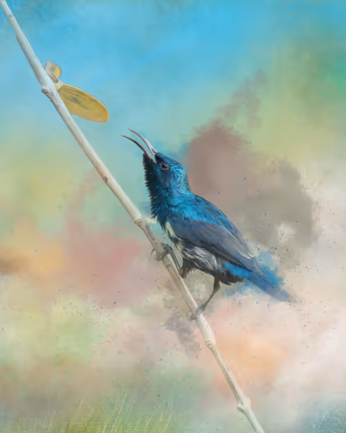 Item #20879904977050231781978559907445915739532146362246903749837269863330845032449 Media