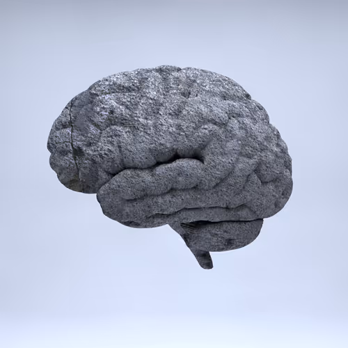 Item #77412820926303725204956055566925211190020908428863033075197849108270351908865 Media