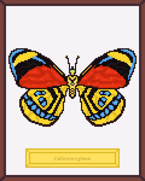 Item #99944933364211782028652678854730295040838579789766917923662069165458951503873 Media