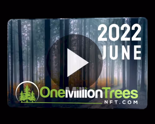 Item #25801989892845548526565125197399663131241948966790422528009322210109192929290 Media