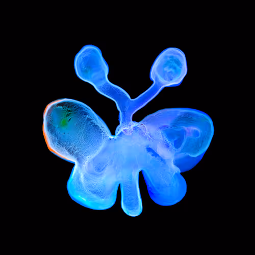 Item #21241348295233725123048088412056156901328443234644052459911106390945574158337 Media