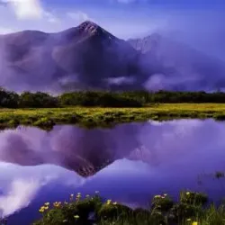 Purple World