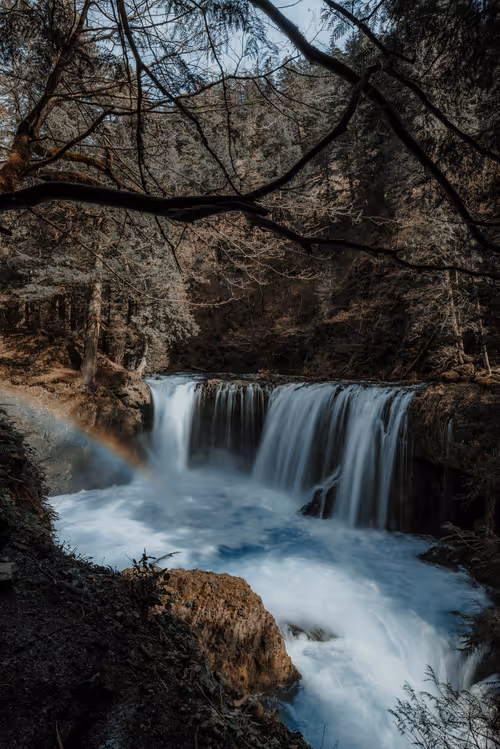 Item #66238051181761595307184186966645763884629250056383602448065297979604920696833 Media