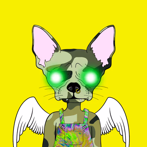 Chihuahua Gang Revenge