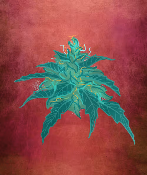 Item #88173920956366532206384104525204378846175092179682069740847406073835283283969 Media