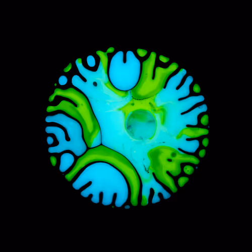 Item #39853347361311550538823328626004824816221754573894422864413753294506273275905 Media