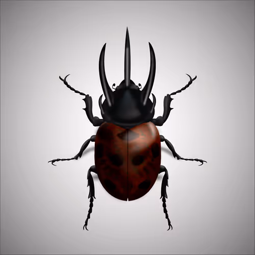 Item #15006194083360452165747859706250248338064014496976576965207407674261504000001 Media