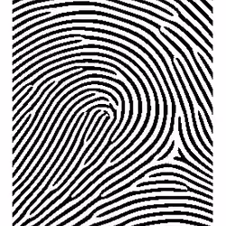 Fingerprint #08