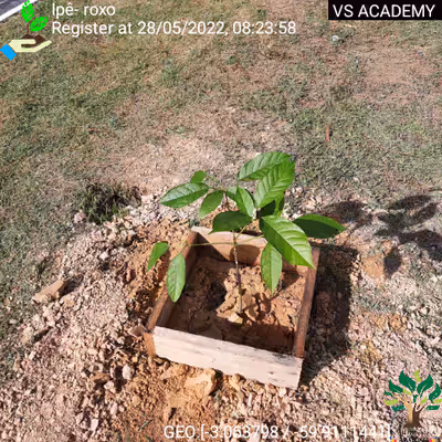 Item #8500196597889277390194123329501889087166328879864934763448348777536825589761 Media