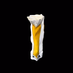 1st beer