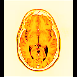 64162533542198579898252916190583583845604629893829087458582976511052599001089