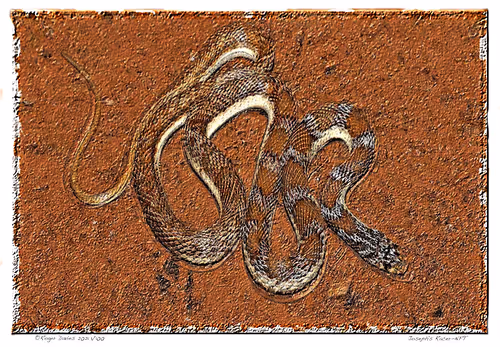 Item #6968899724388266606176016145545160509277227480062482001621938883277245907044 Media