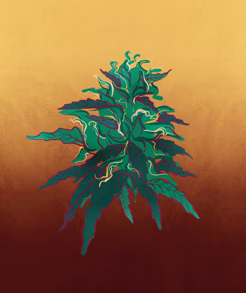 Item #88173920956366532206384104525204378846175092179682069740847406063939678633985 Media