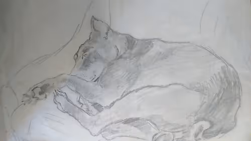 Item #7995611344247337094109922960175663296053708929602191470286983599416898748417 Media