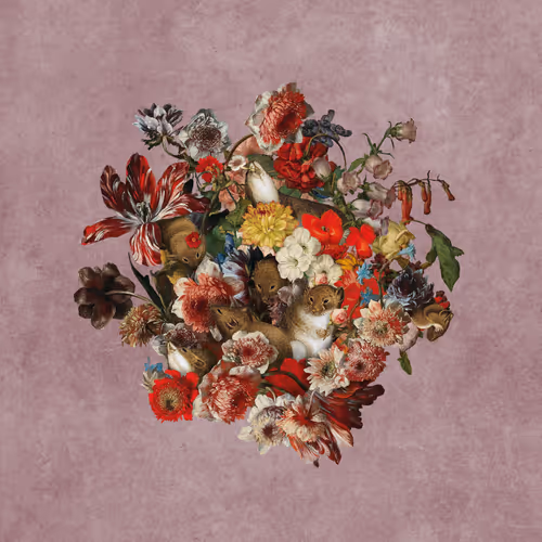 Item #19059656102330521028979974538211481296482323844077477318954795413752204230657 Media