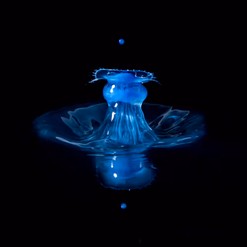 50dropsofwater
