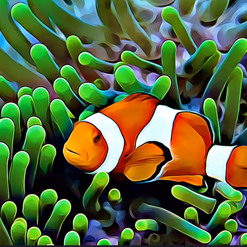 cartoon clownfish