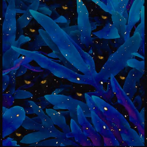 92783142183670148779523509575317469478567850605598829462236361883655197425674